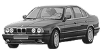 BMW E34 P0486 Fault Code
